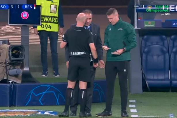Prem ref Anthony Taylor stops Champions League match so medics can rush across pitch to fan