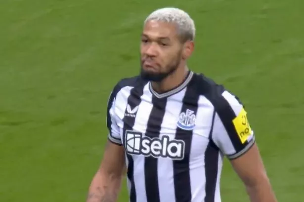 Fans love Joelinton celebration after firing ‘thunderb*****d’ strike into top corner