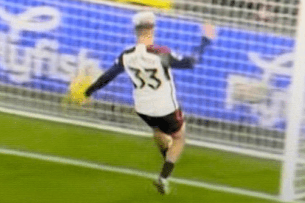 Everton fans rage at ‘beyond laughable’ VAR as Fulham star’s ‘handball’ is fine