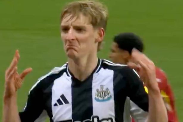 Anthony Gordon shows true colours with celebration against Arne Slot’s Liverpool