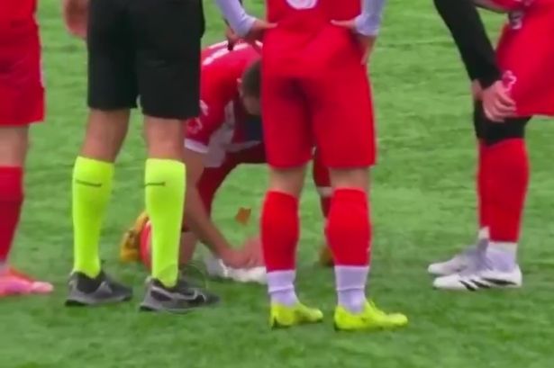 Football match halted as player performs CPR to save seagull struck by ball