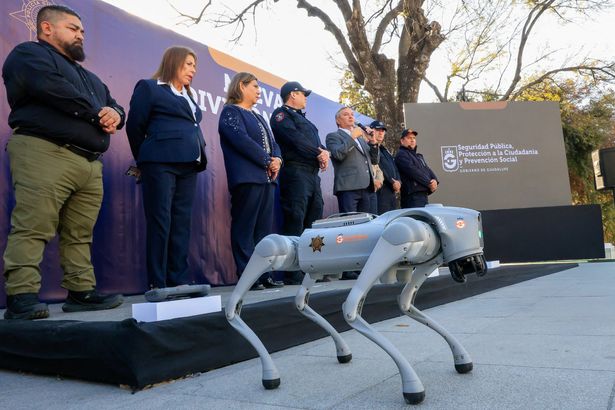 Robot dogs to guard World Cup as police deploy android mutts to keep fans in check